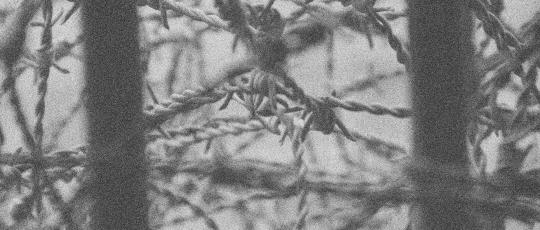 Barbed wire behind railings