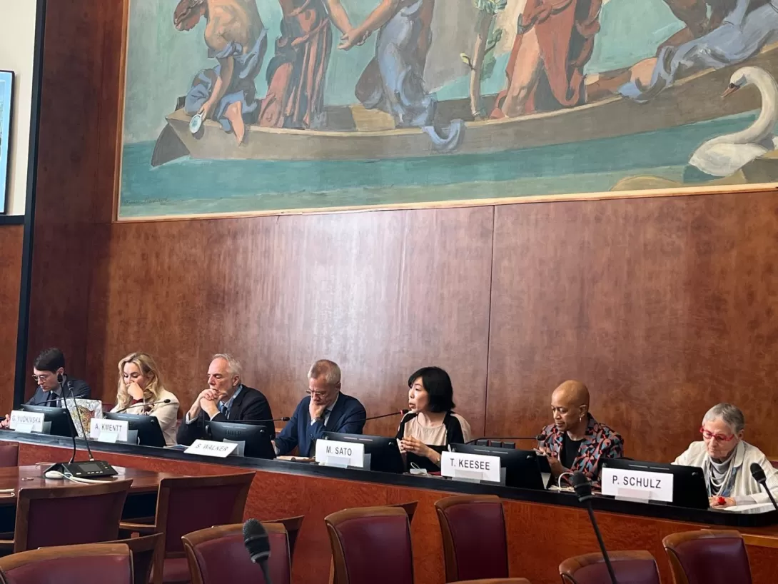 Panel at UN Human Rights Council side event